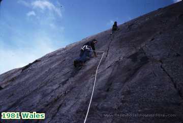  wales 1981 Wales