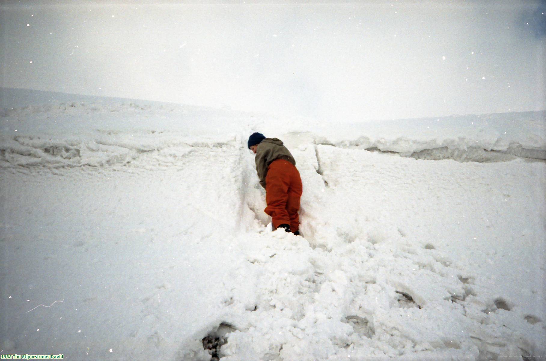 1985 The Stiperstones David