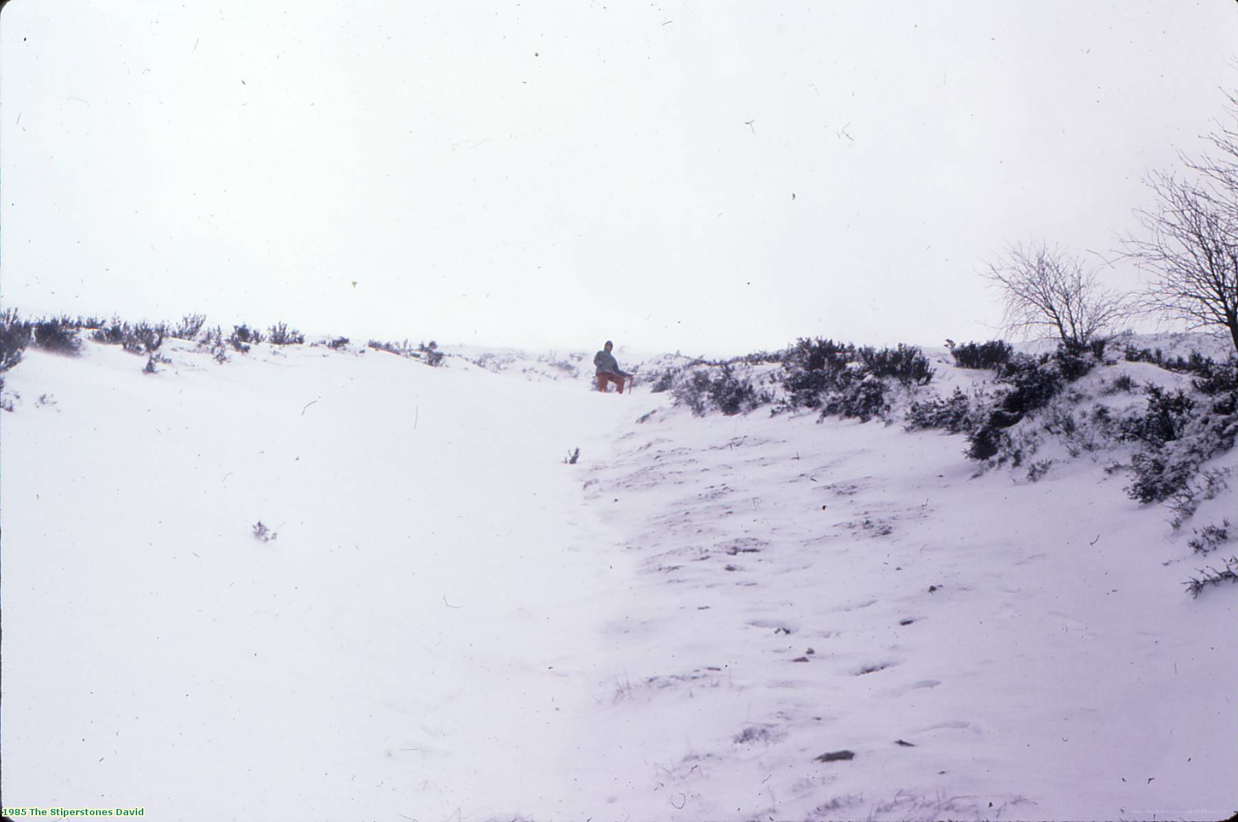 1985 The Stiperstones David