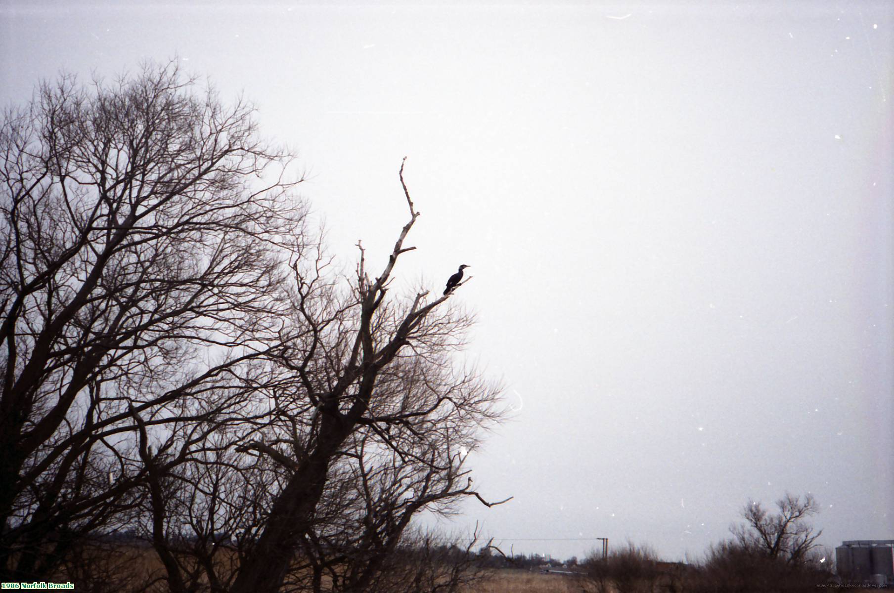 1986 Norfolk Broads