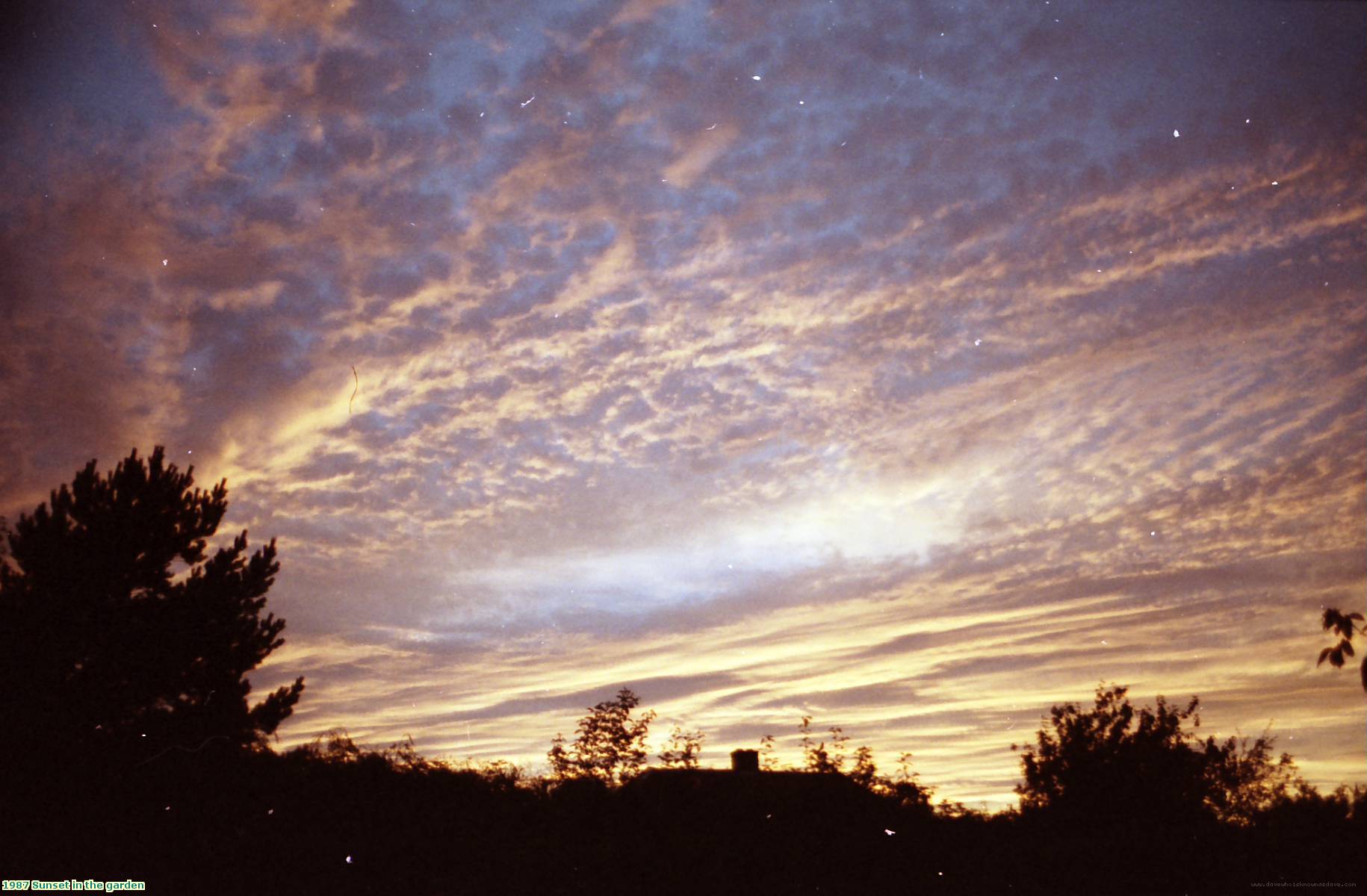 1987 Sunset in the garden