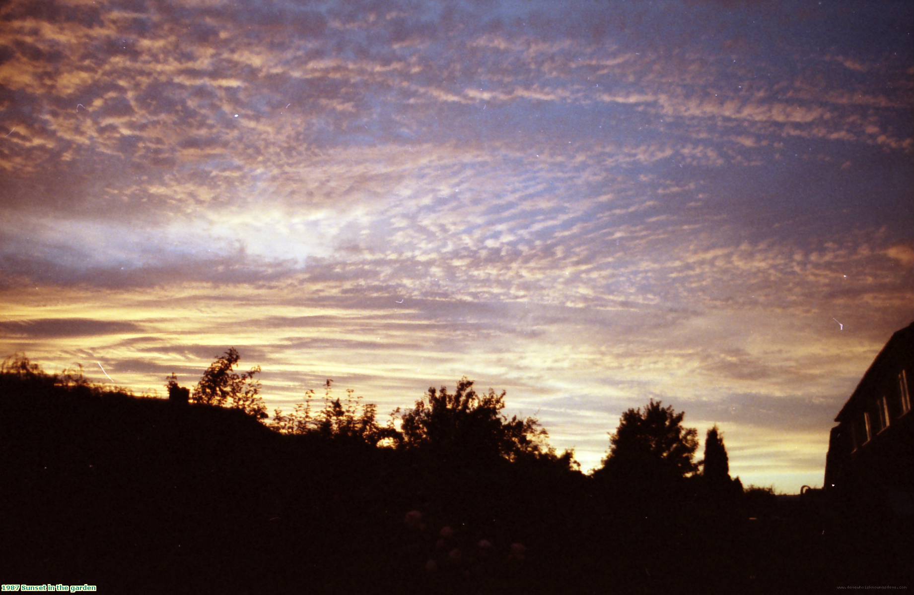 1987 Sunset in the garden