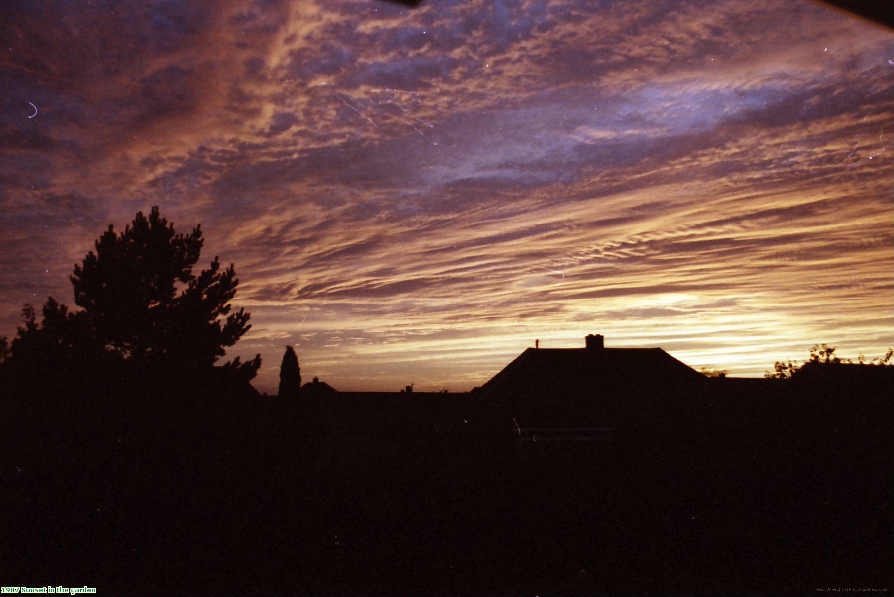 1987 Sunset in the garden