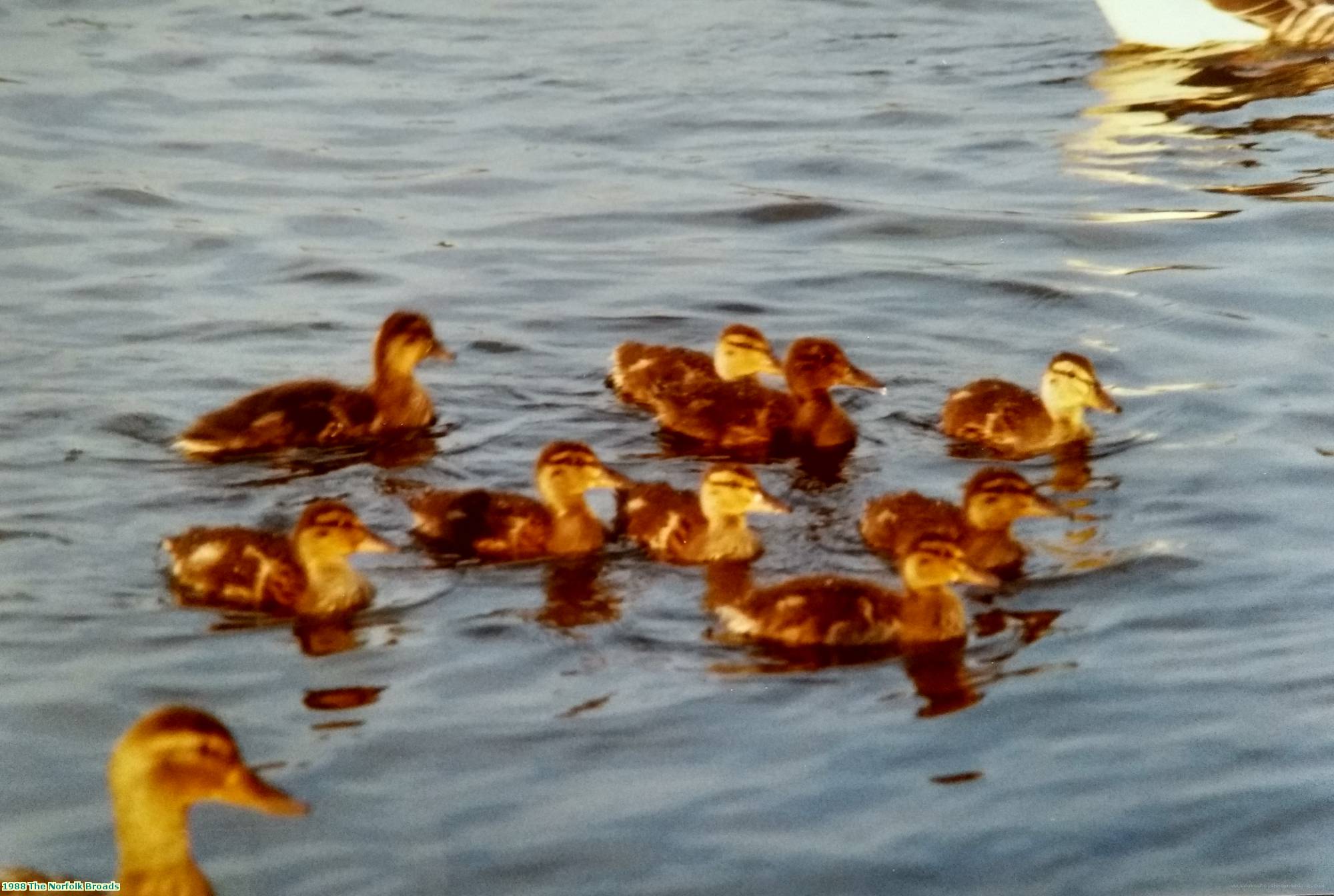 1988 The Norfolk Broads