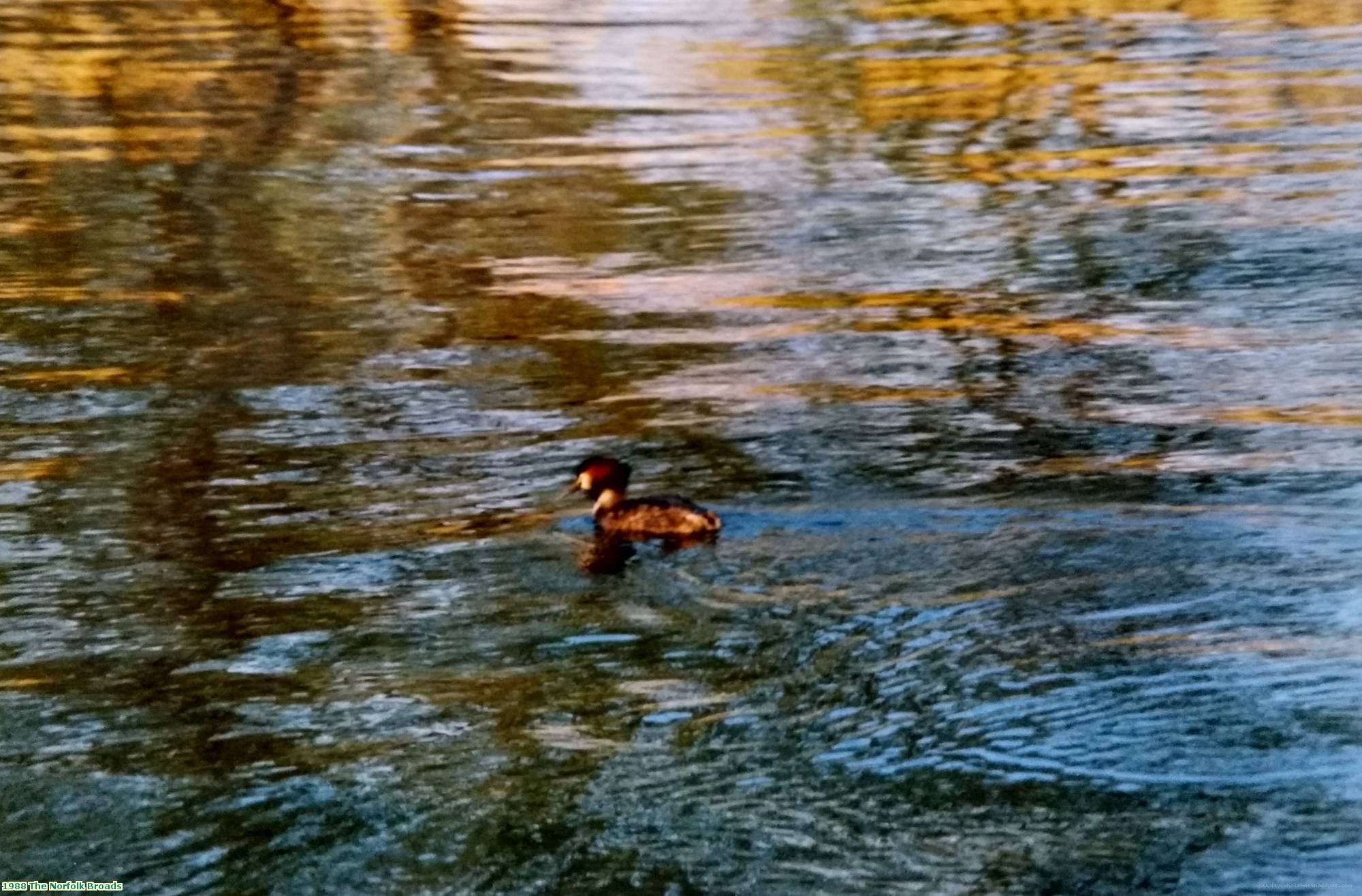 1988 The Norfolk Broads