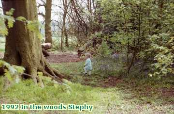  woods 1992 In the woods