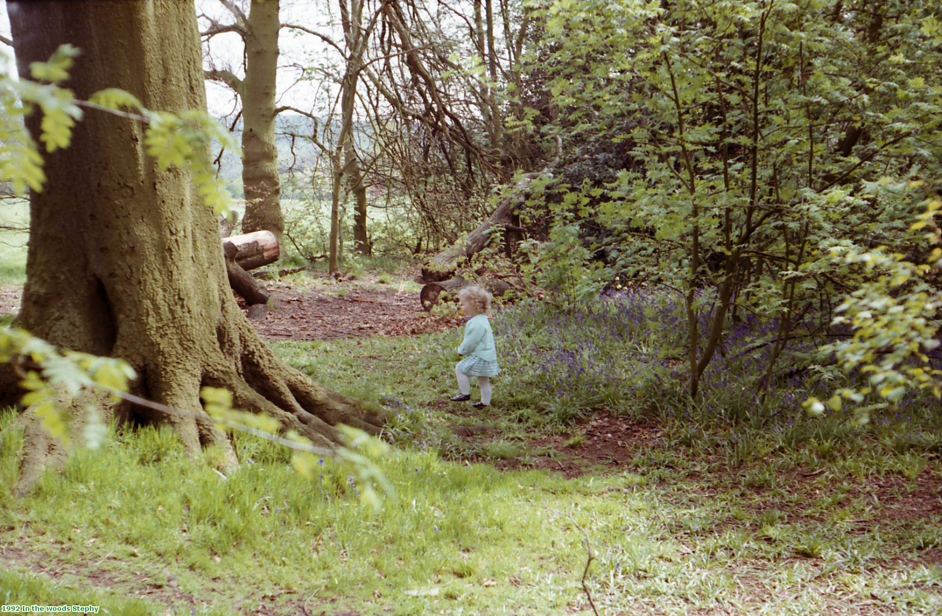 1992 In the woods Stephy