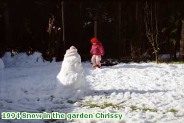  snow 1994 Snow in the garden