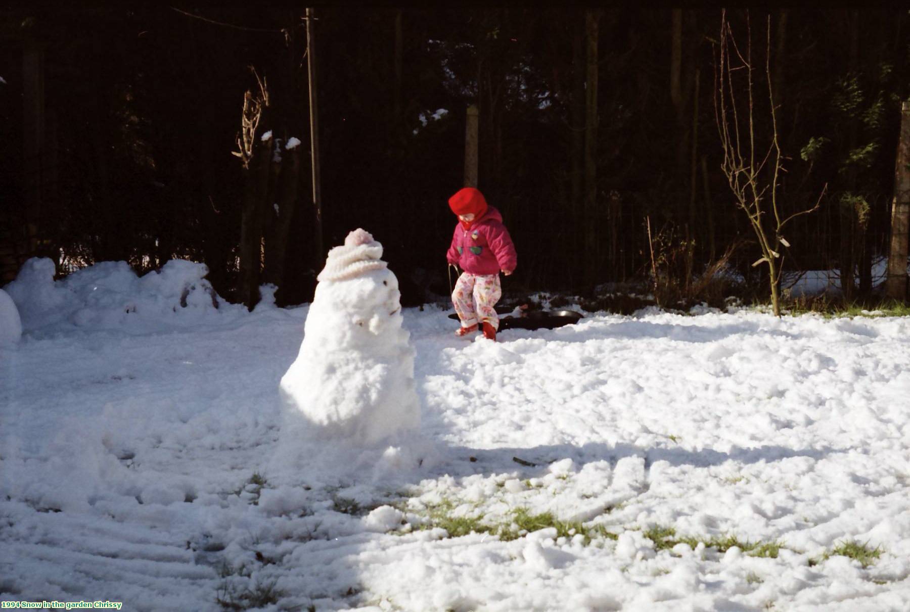 1994 Snow in the garden Chrissy