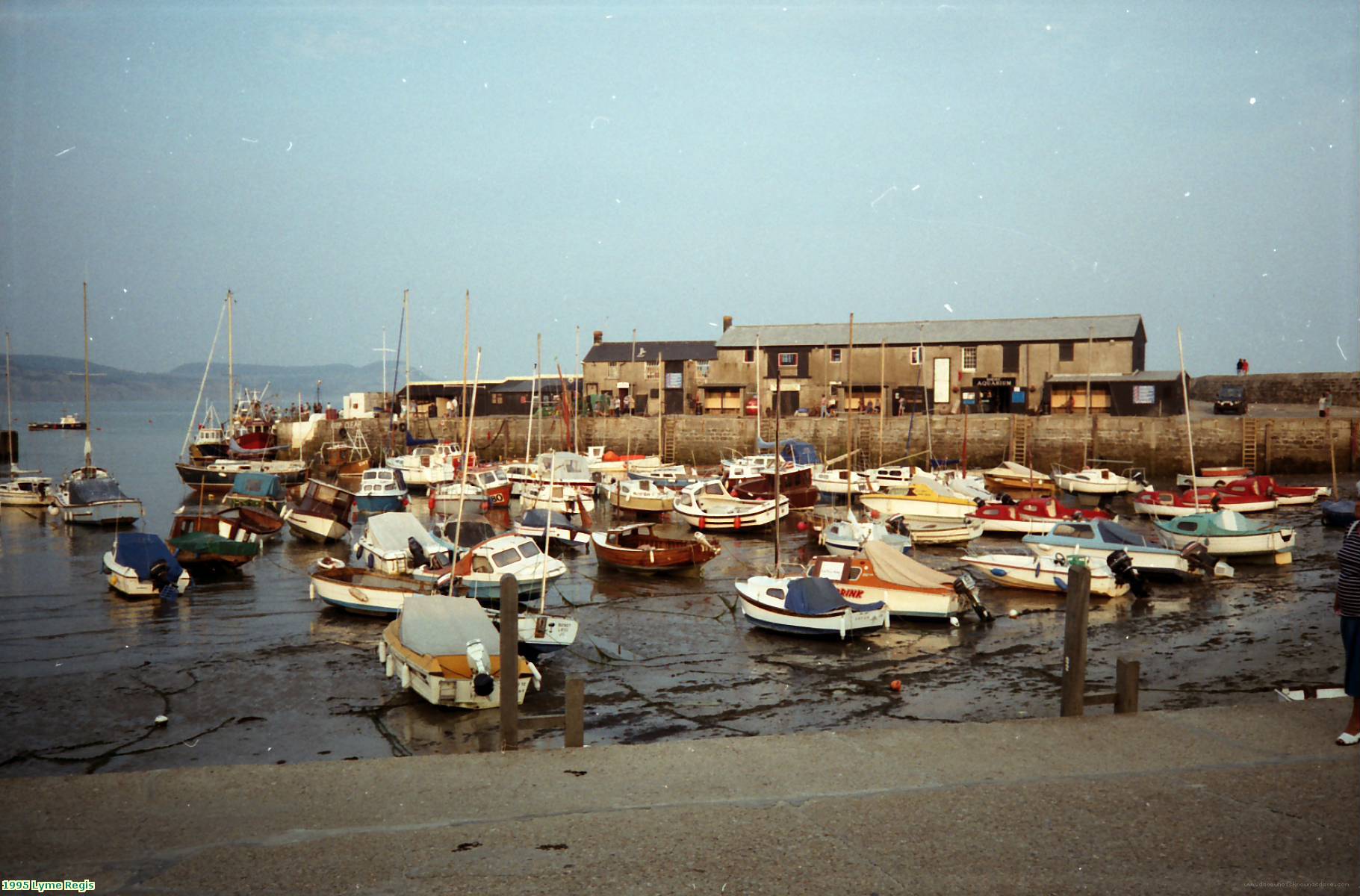 1995 Lyme Regis