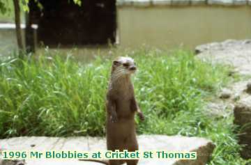  blobbies 1996 Mr Blobbies at Cricket St Thomas