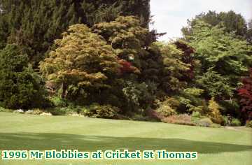  blobbies 1996 Mr Blobbies at Cricket St Thomas