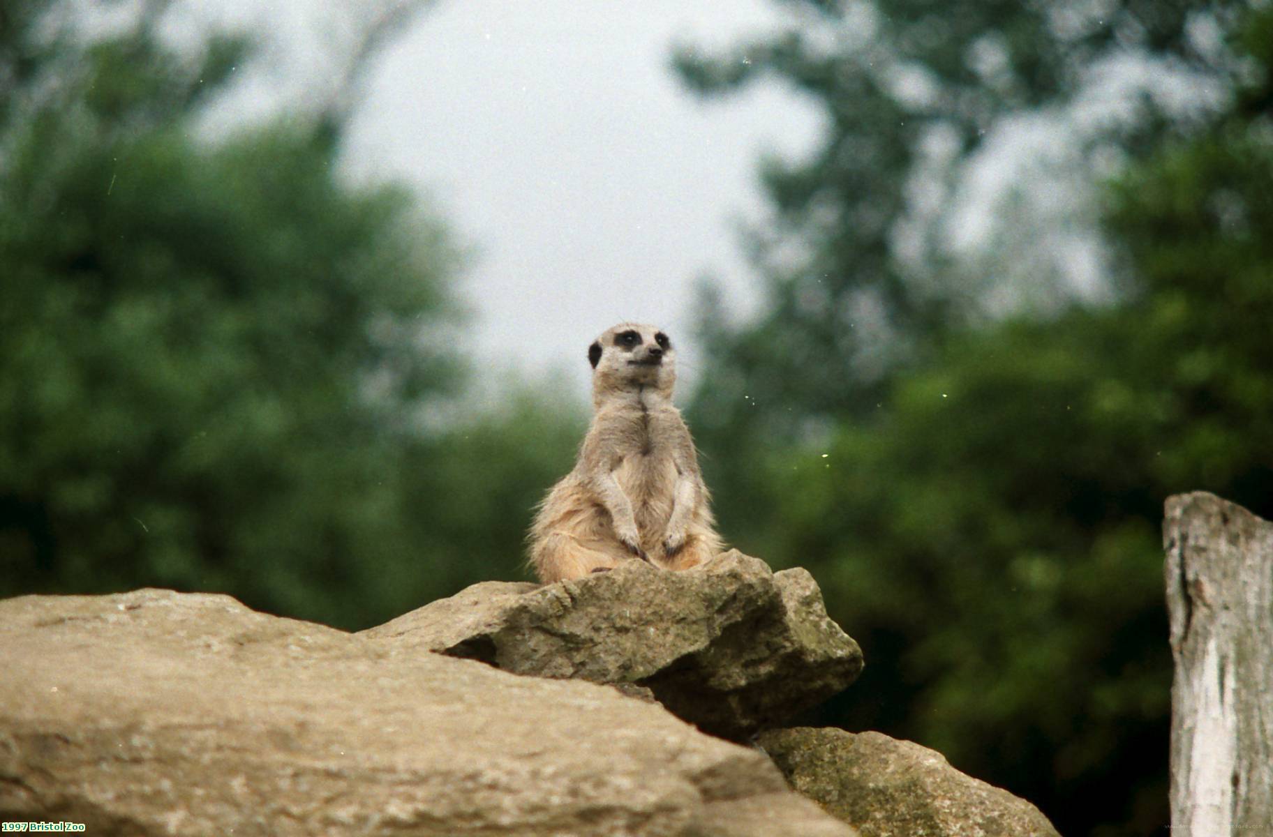 1997 Bristol Zoo