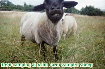  ash 1998 camping at Ashe Farm vampire sheep