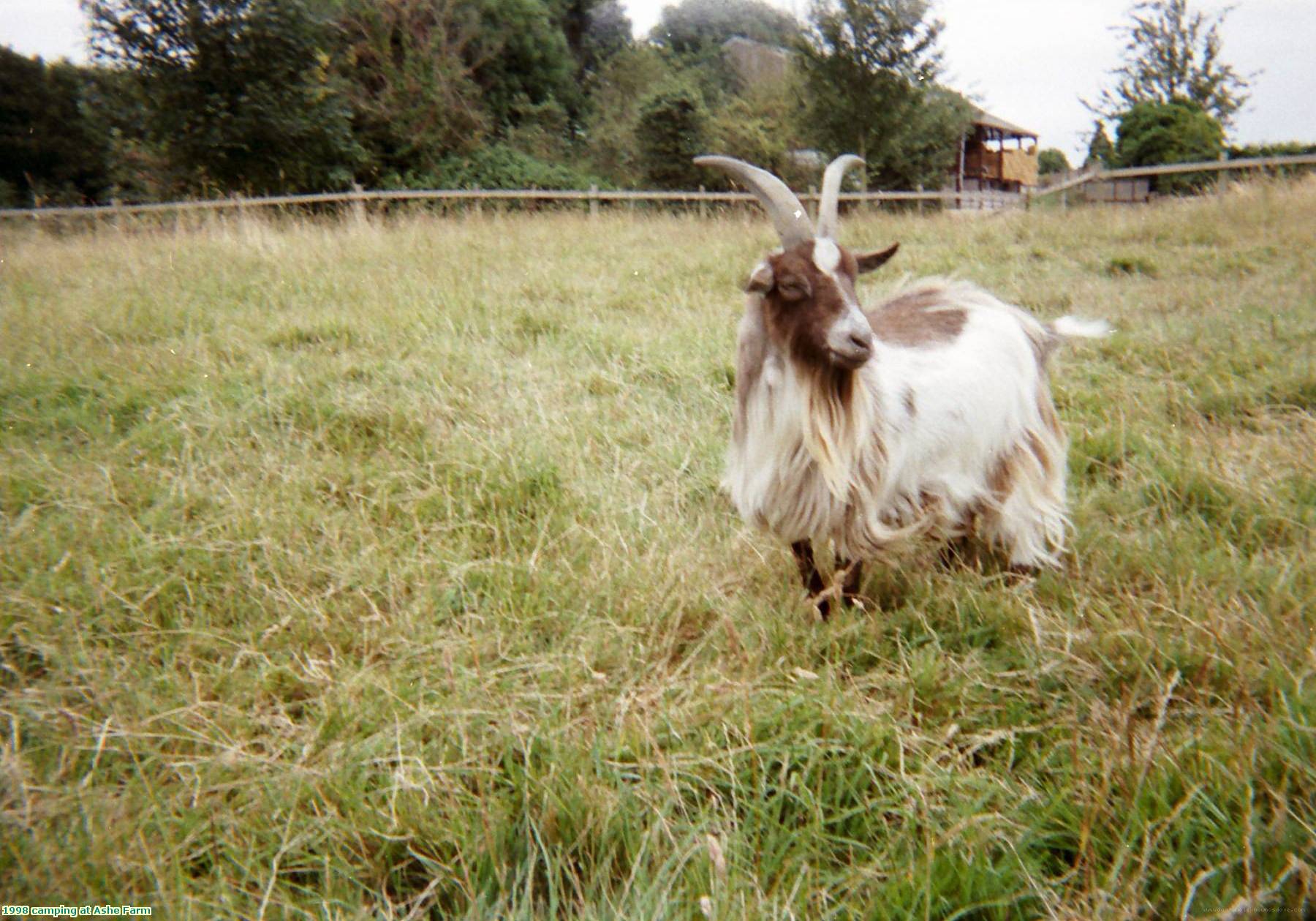 1998 camping at Ashe Farm