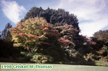  cricket 1998 Crisket St Thomas