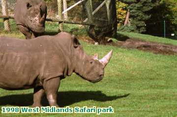  park 1998 West Midlands Safari park