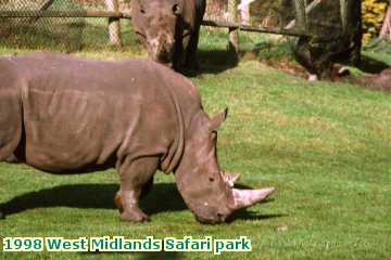  park 1998 West Midlands Safari park