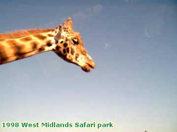  park 1998 West Midlands Safari park