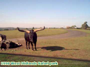  park 1998 West Midlands Safari park