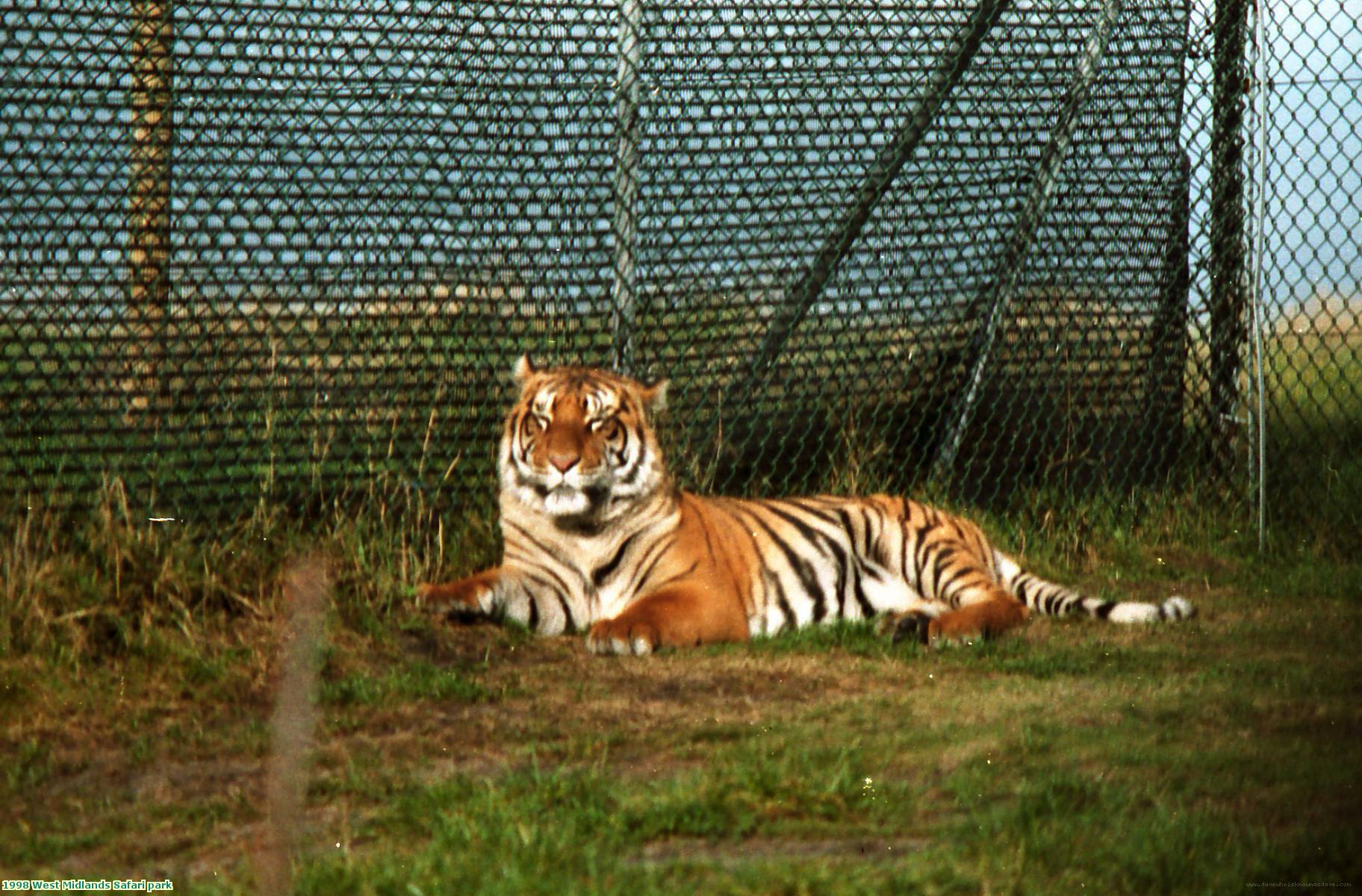 1998 West Midlands Safari park