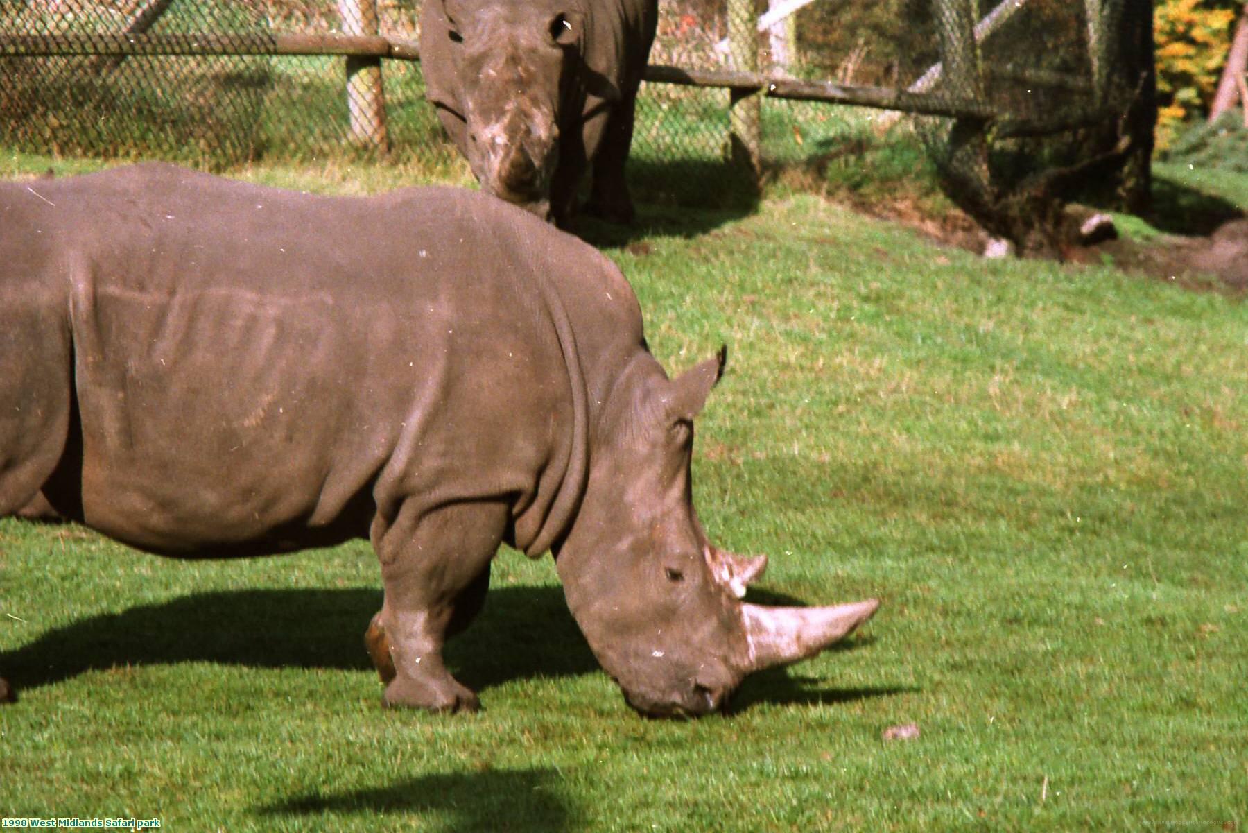 1998 West Midlands Safari park