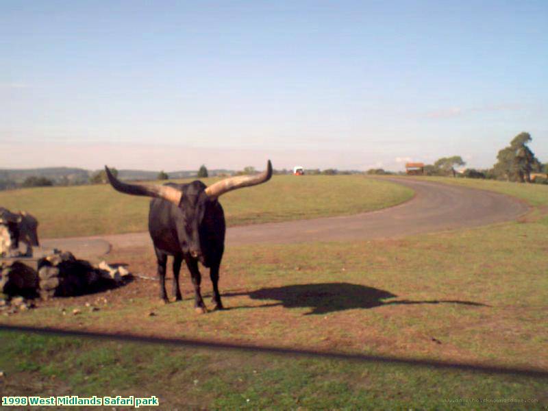 1998 West Midlands Safari park