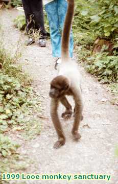  looe 1999 Looe monkey sanctuary