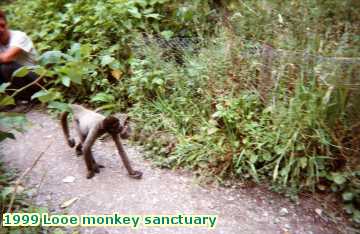  looe 1999 Looe monkey sanctuary