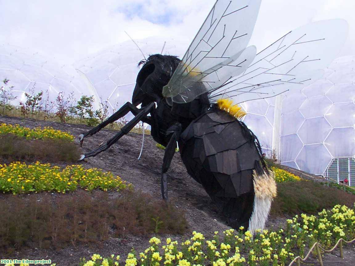 2001 The Eden project