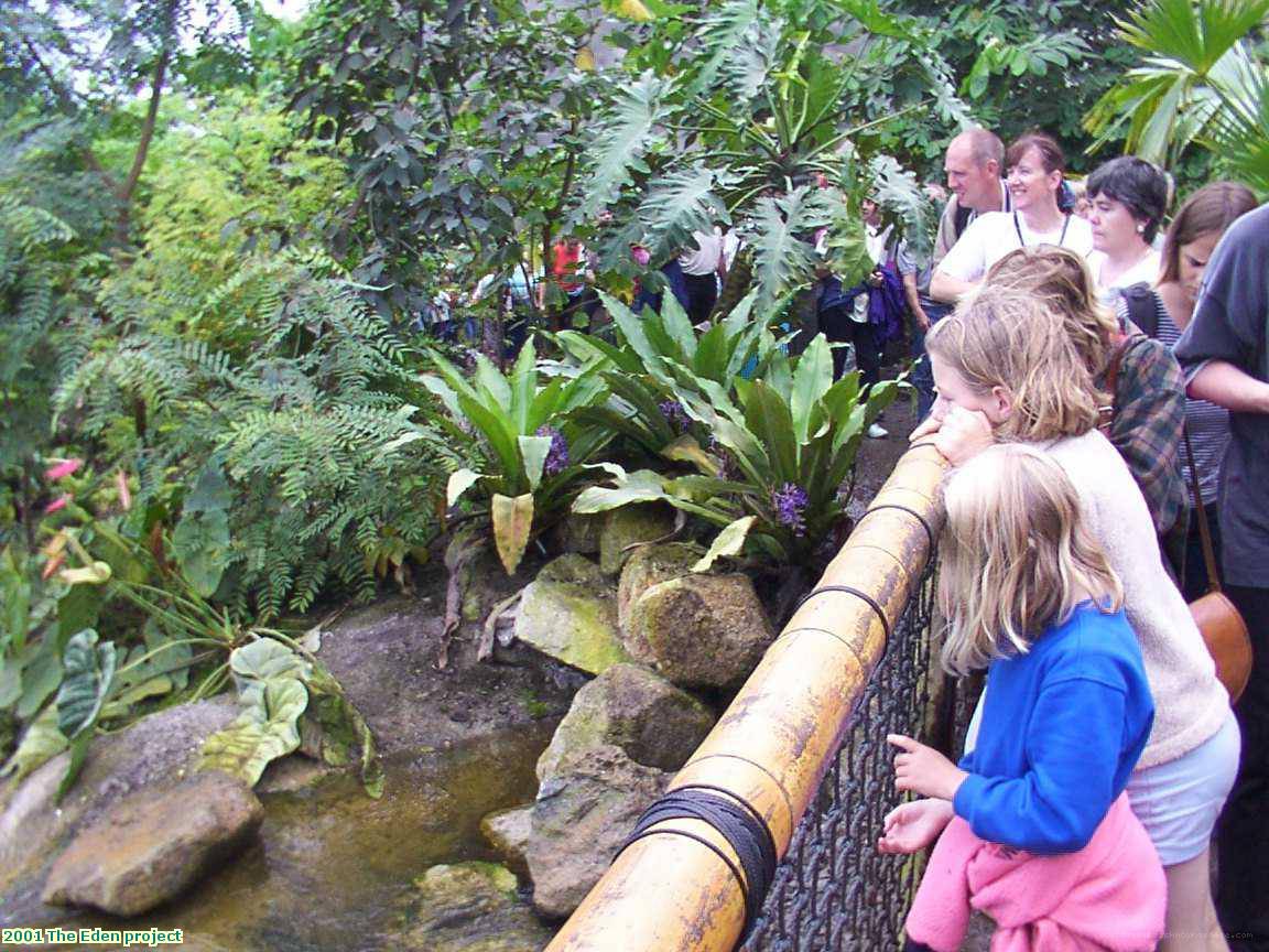 2001 The Eden project