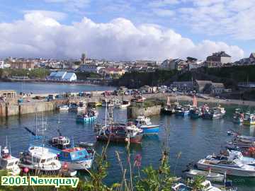  newq 2001 Newquay