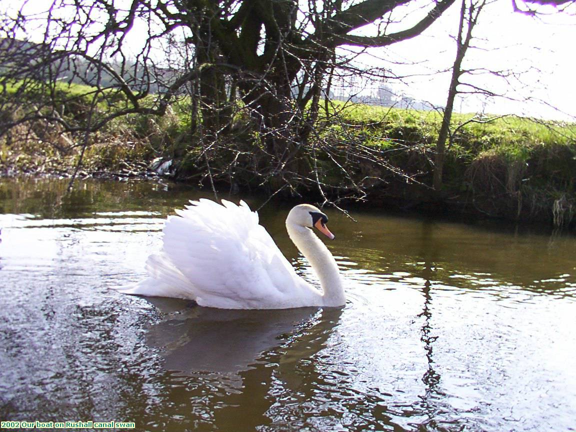 2002 Our boat on Rushall canal swan