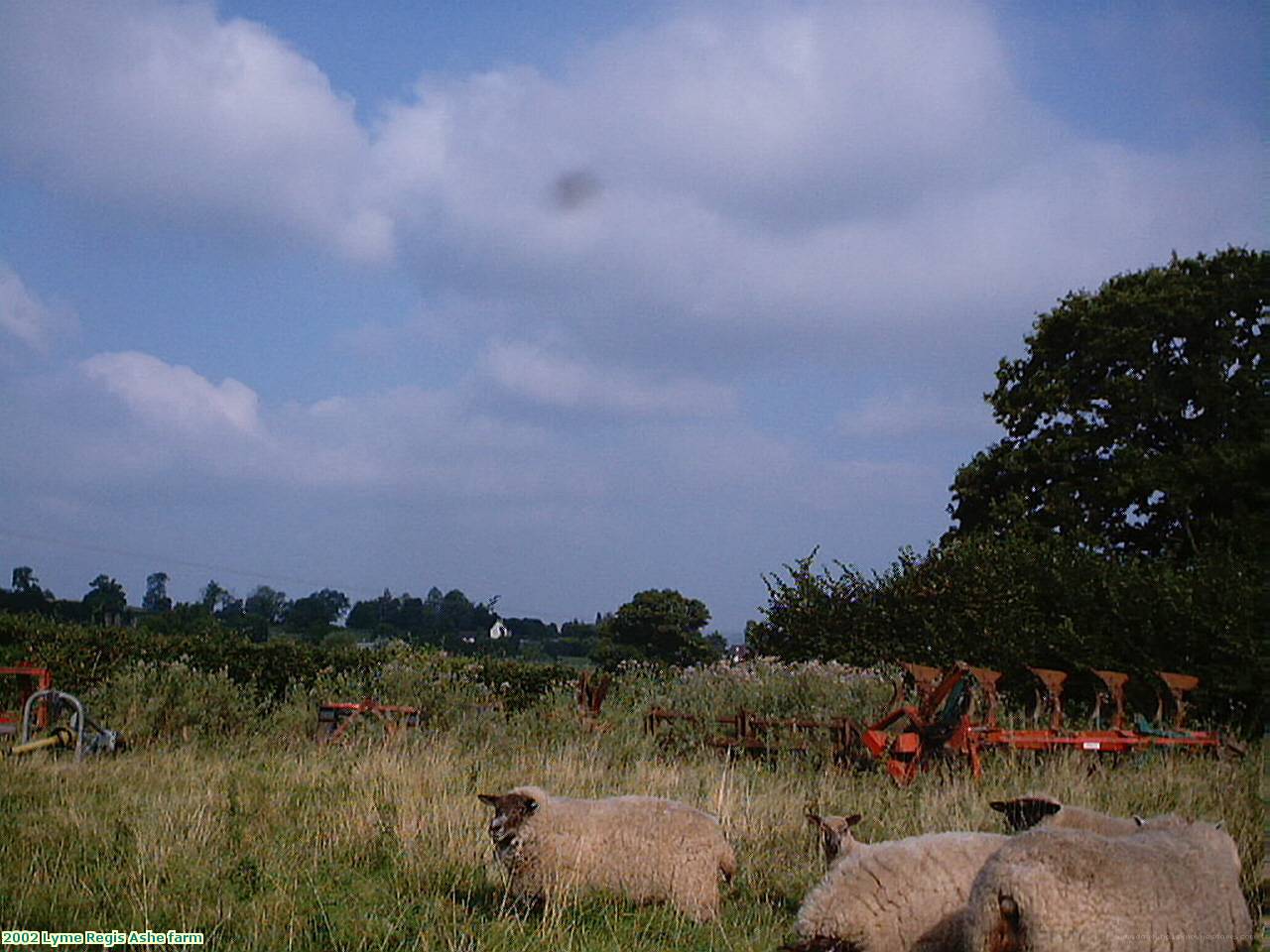 2002 Lyme Regis Ashe farm