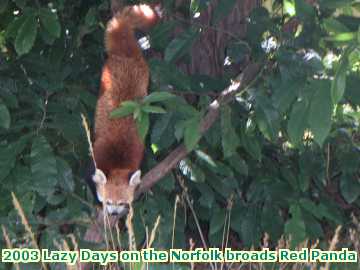  broads 2003 Lazy Days on the Norfolk broads Red Panda