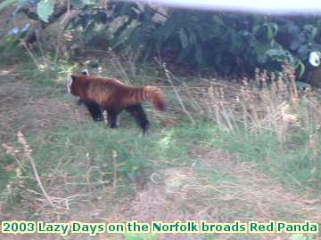  broads 2003 Lazy Days on the Norfolk broads Red Panda