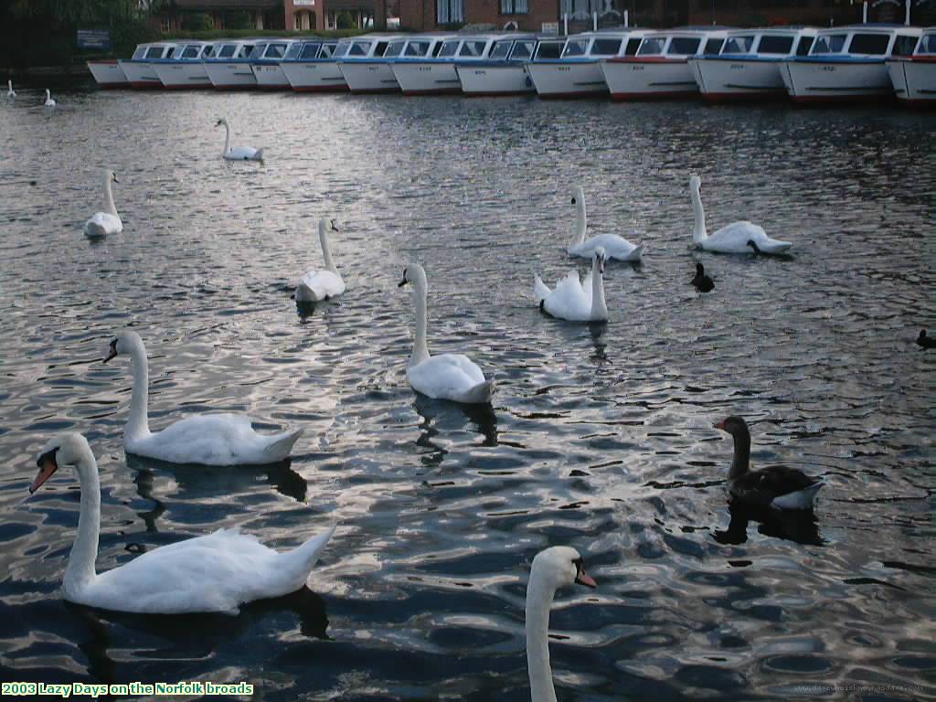 2003 Lazy Days on the Norfolk broads