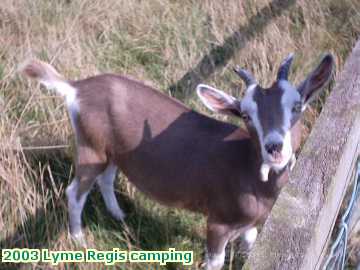  lyme1 2003 Lyme Regis camping