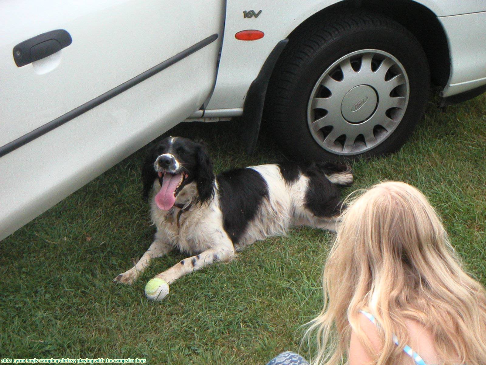 2003 Lyme Regis camping Chrissy playing with the campsite dogs