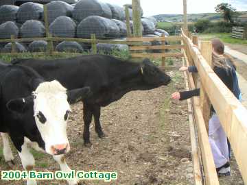  barn 2004 Barn Owl Cottage