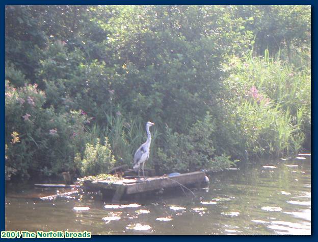 2004 The Norfolk broads