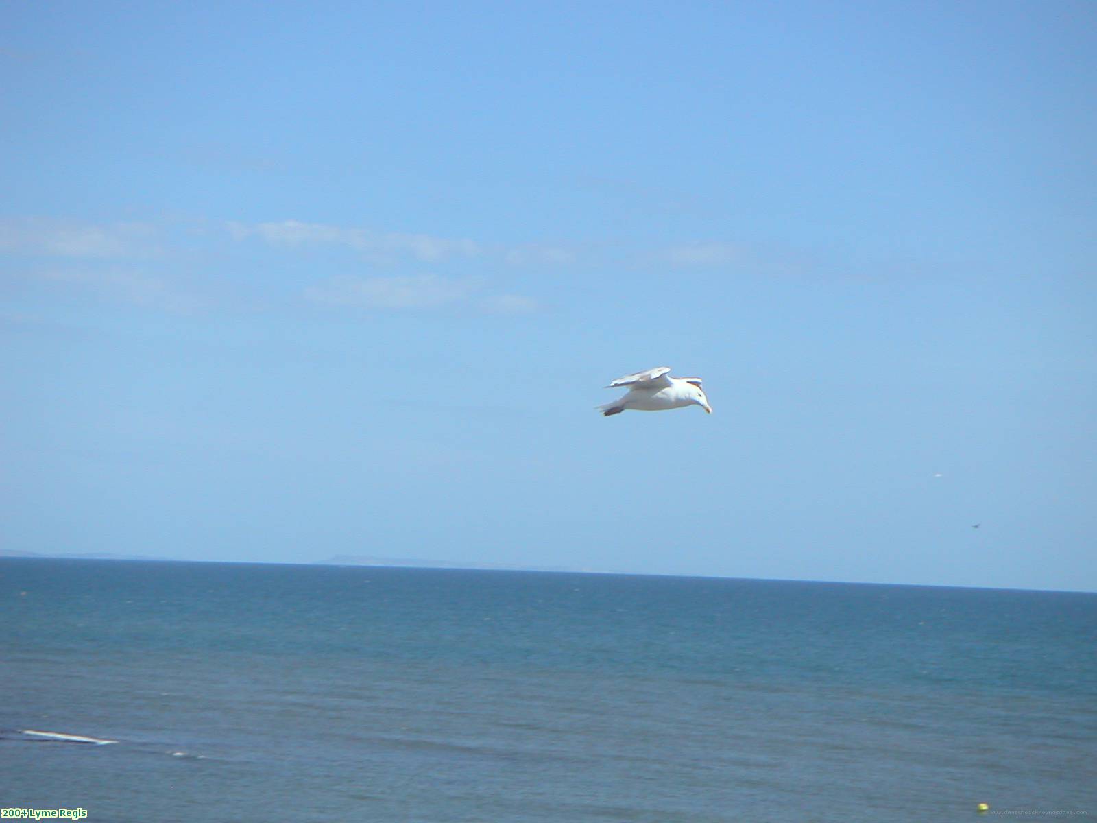 2004 Lyme Regis