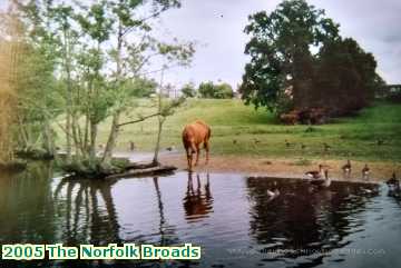  broads 2005 The Norfolk Broads