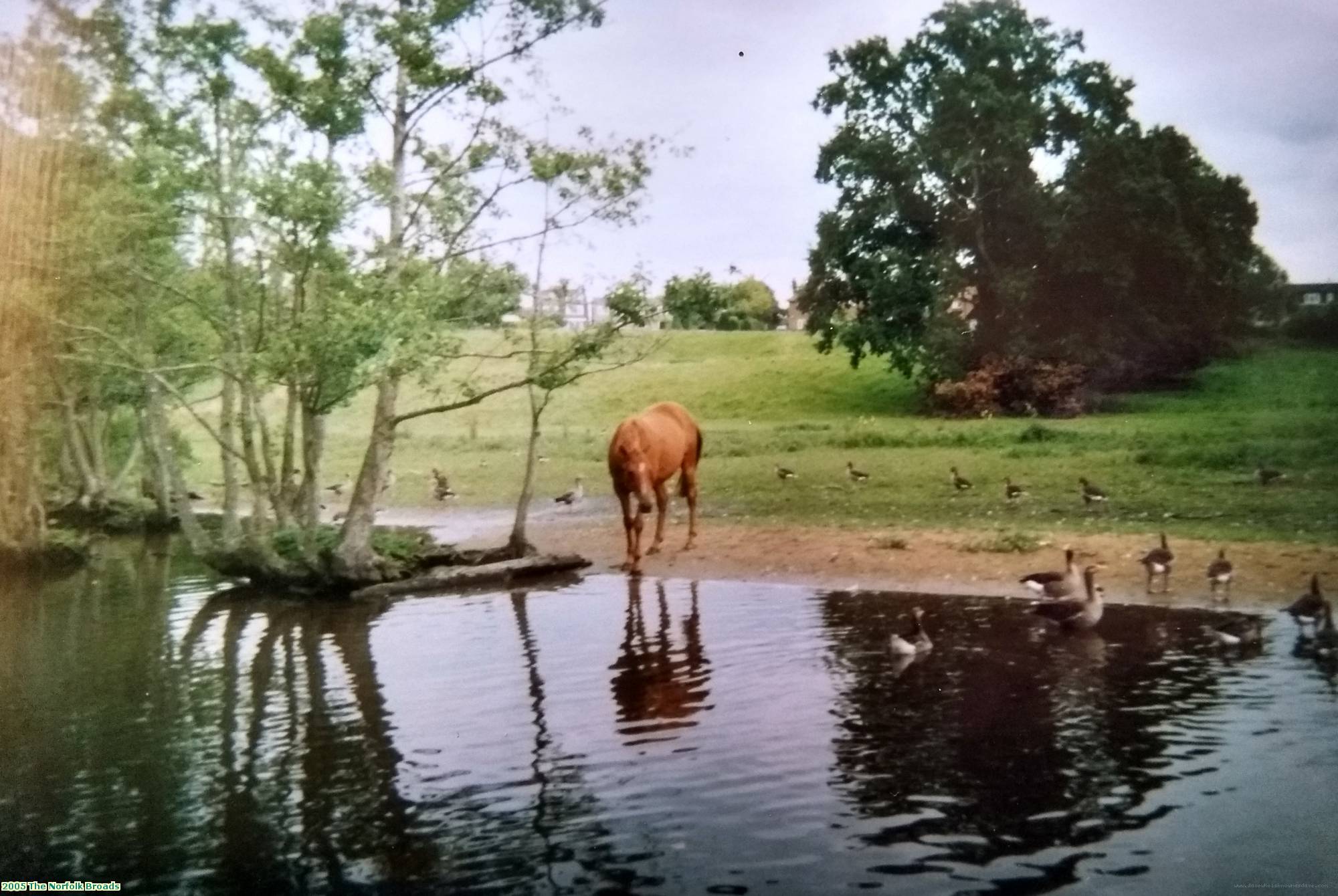 2005 The Norfolk Broads