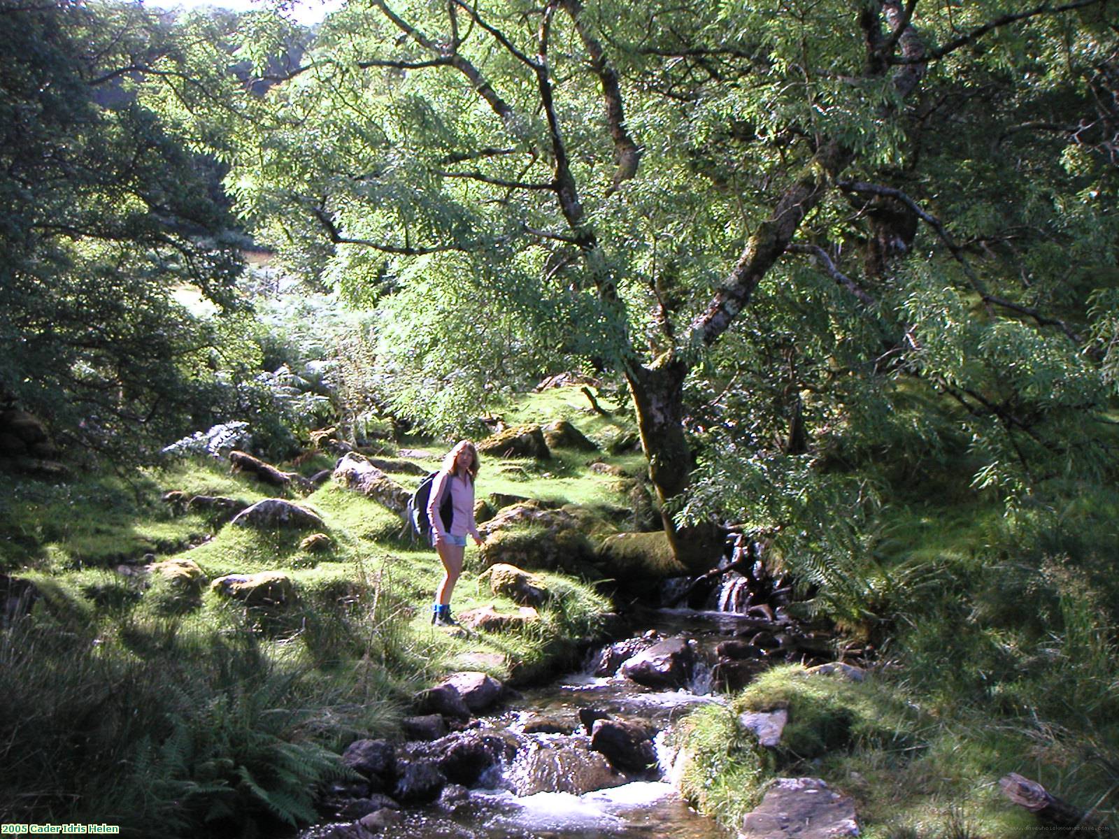 2005 Cader Idris Helen