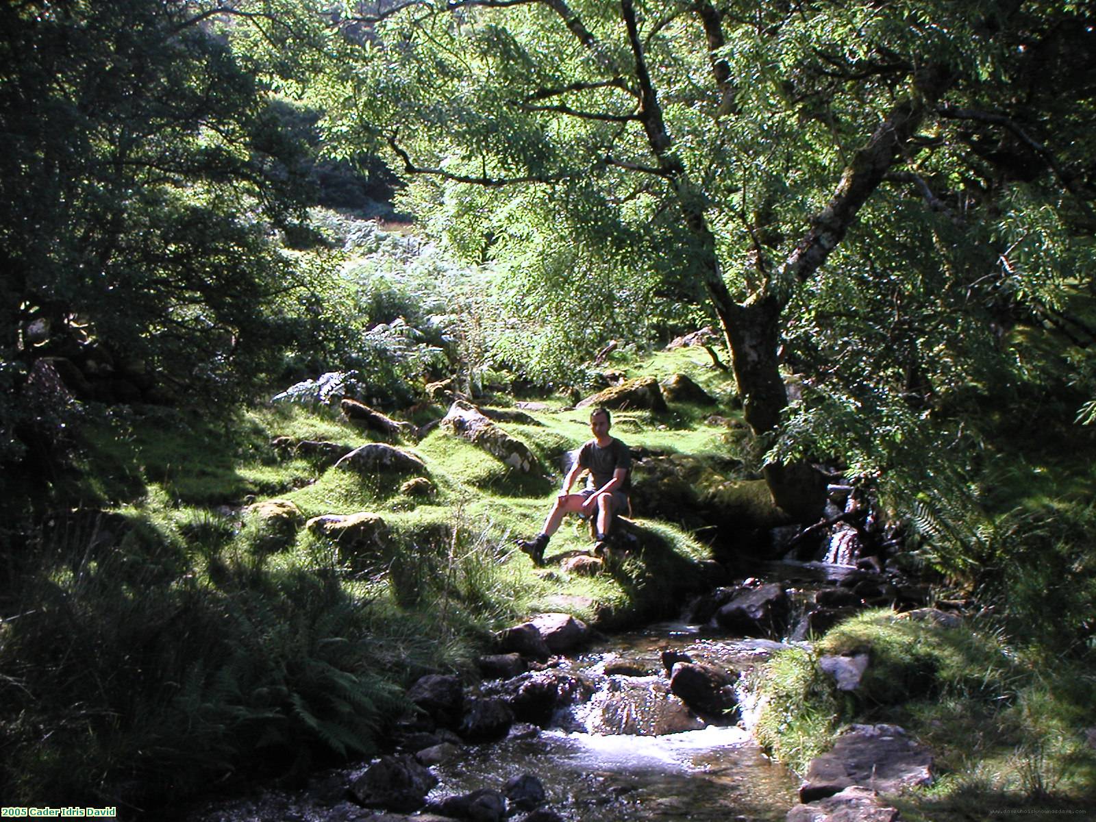 2005 Cader Idris David