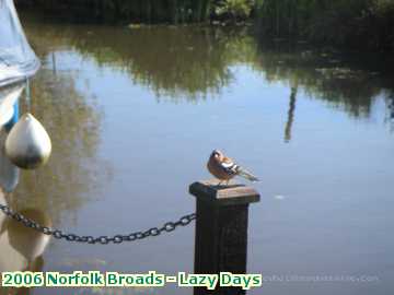  lazy 2006 Norfolk Broads - Lazy Days