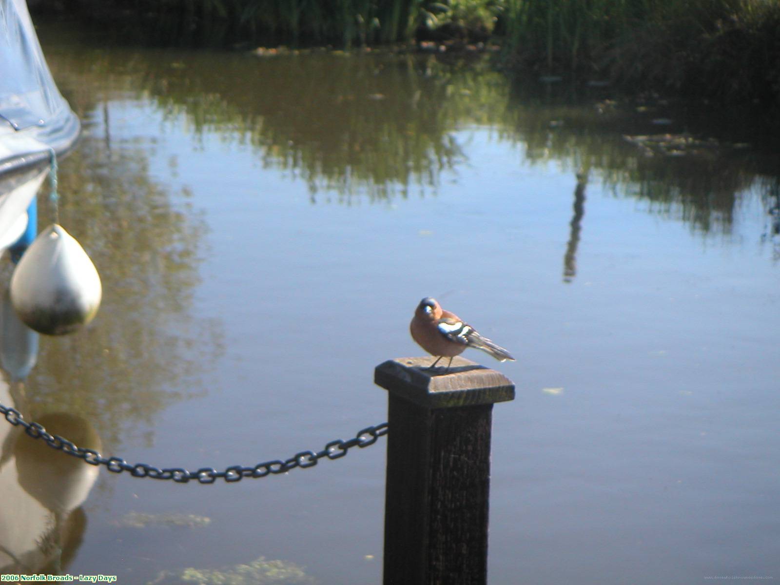 2006 Norfolk Broads - Lazy Days