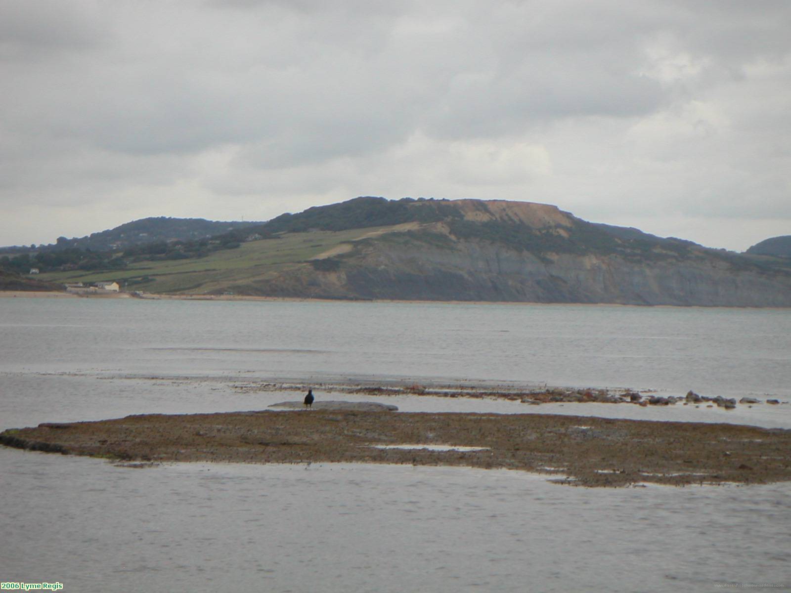 2006 Lyme Regis