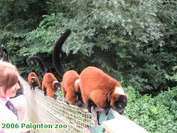  zoo 2006 Paignton zoo